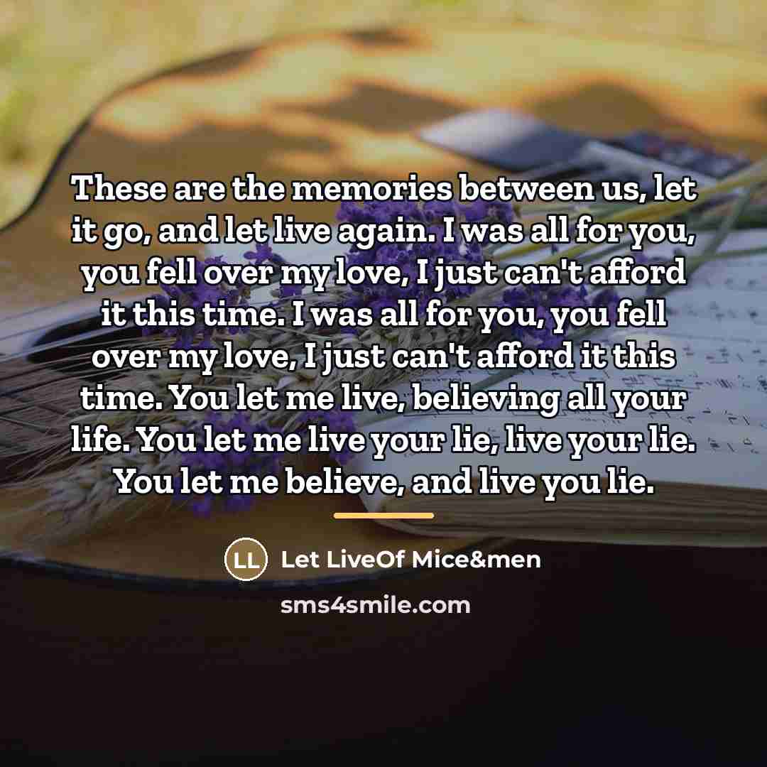 “These are the memories between us, let it go, and…” quote by Let LiveOf Mice&men