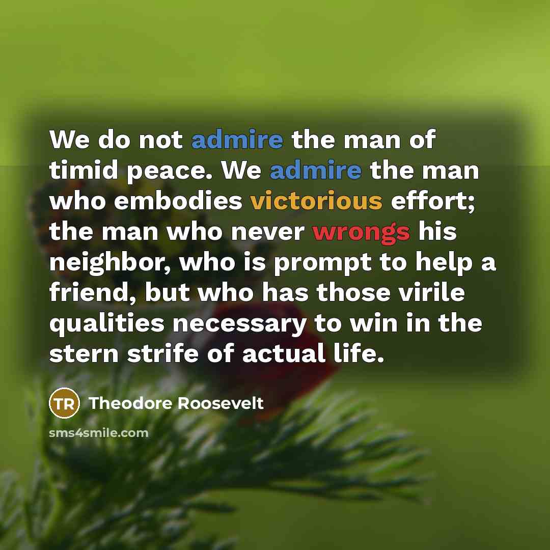 “We do not admire the man of timid peace. We…” quote by Theodore Roosevelt