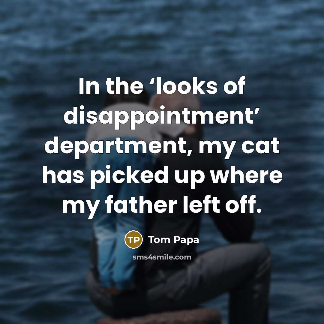 “In the ‘looks of disappointment’ department, my cat has picked…” quote by Tom Papa