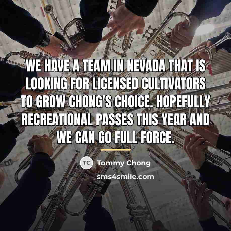 “We have a team in Nevada that is looking for…” quote by Tommy Chong