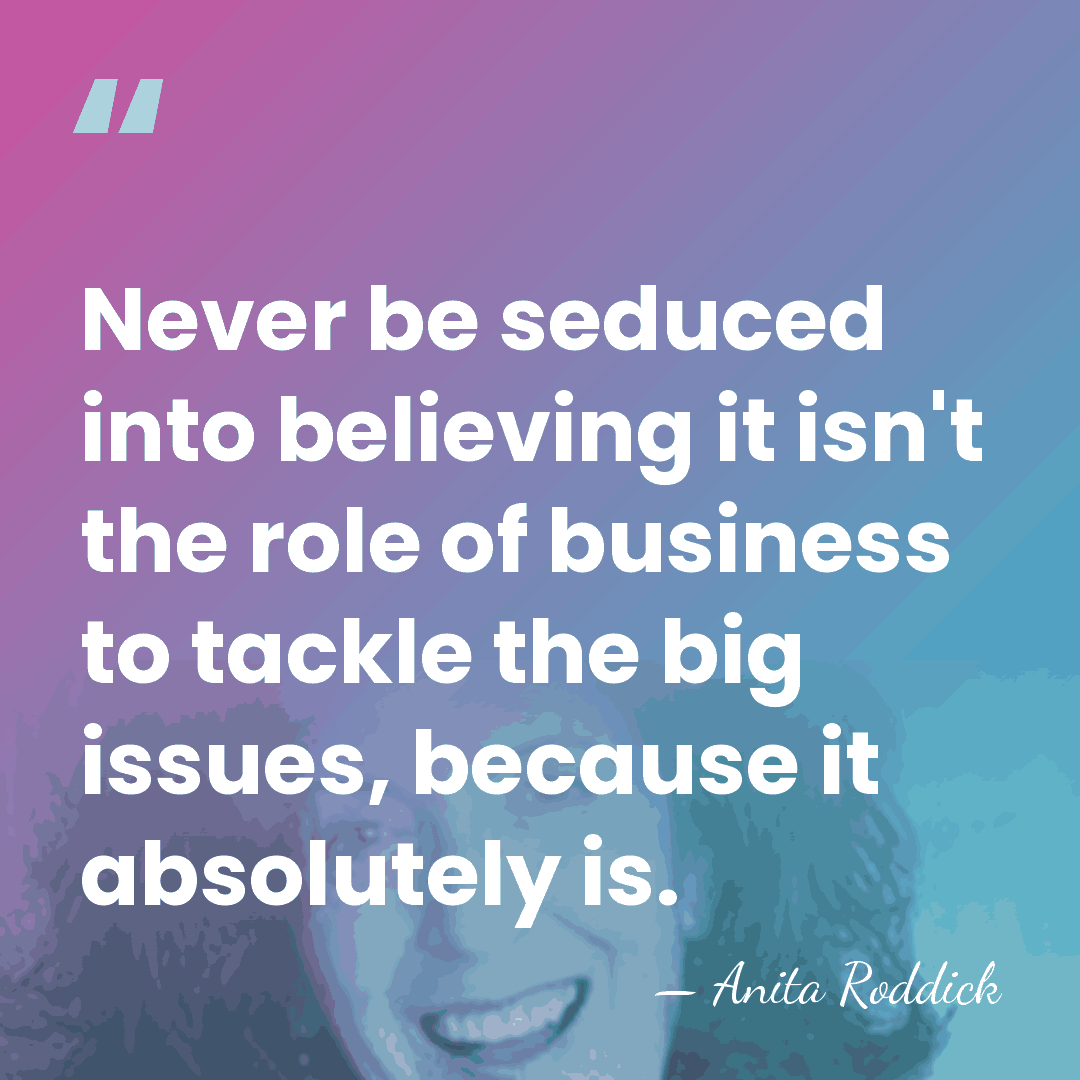 Never be seduced into believing it isn't the role of business to&hellip; - Anita Roddick