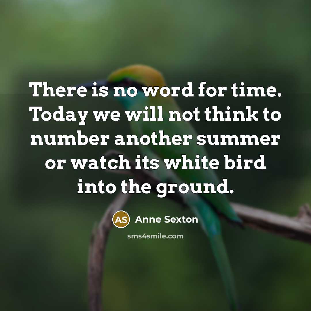 “There is no word for time. Today we will not…” quote by Anne Sexton