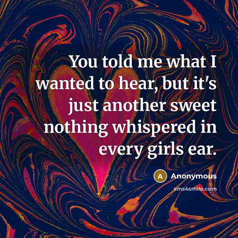 “You told me what I wanted to hear, but it's…” quote by Anonymous