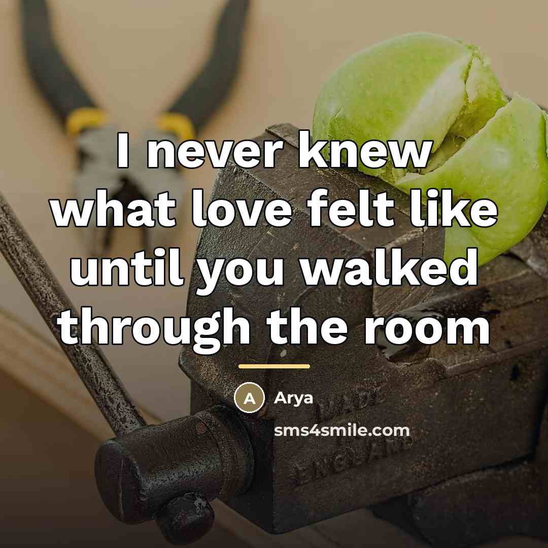 “I never knew what love felt like until you walked…” quote by Arya