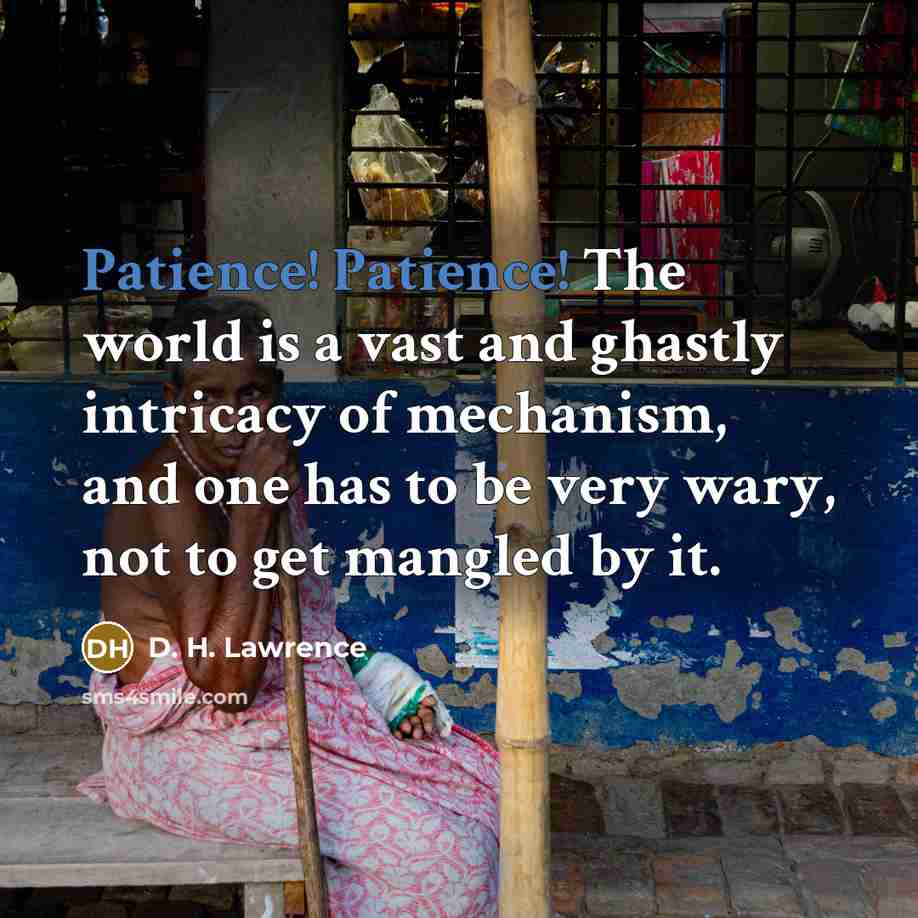 “Patience! Patience! The world is a vast and ghastly intricacy…” quote by D. H. Lawrence