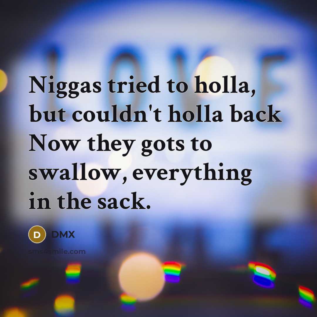 “Niggas tried to holla, but couldn't holla back Now they…” quote by DMX