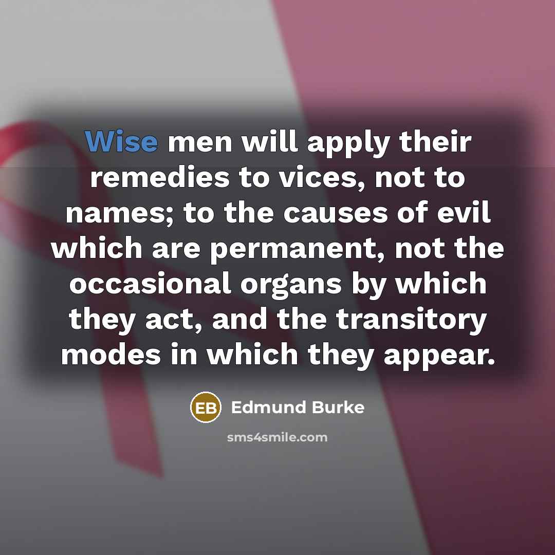 “Wise men will apply their remedies to vices, not to…” quote by Edmund Burke