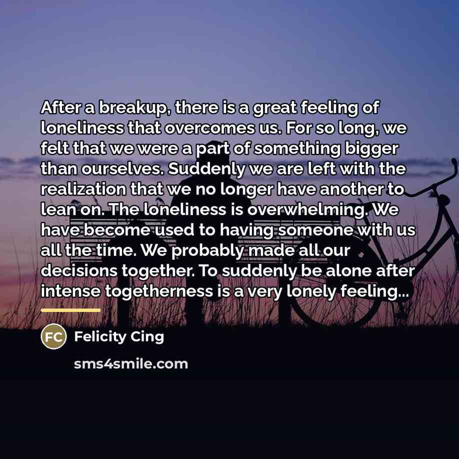 “After a breakup, there is a great feeling of loneliness…” quote by Felicity Cing
