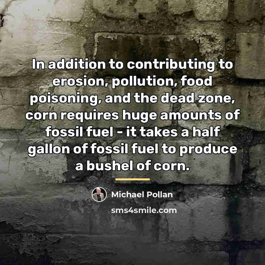 “In addition to contributing to erosion, pollution, food poisoning, and…” quote by Michael Pollan
