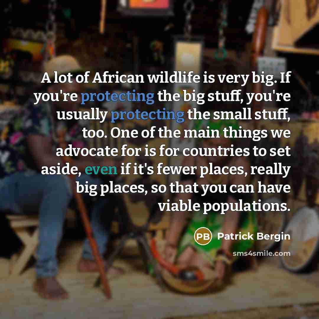 “A lot of African wildlife is very big. If you're protecting the big stuff, you're usually protecting the small stuff, too. One of the main things we advocate for is for countries to set aside, even if it's fewer places, really big places, so that you can have viable populations.” quote by Patrick Bergin