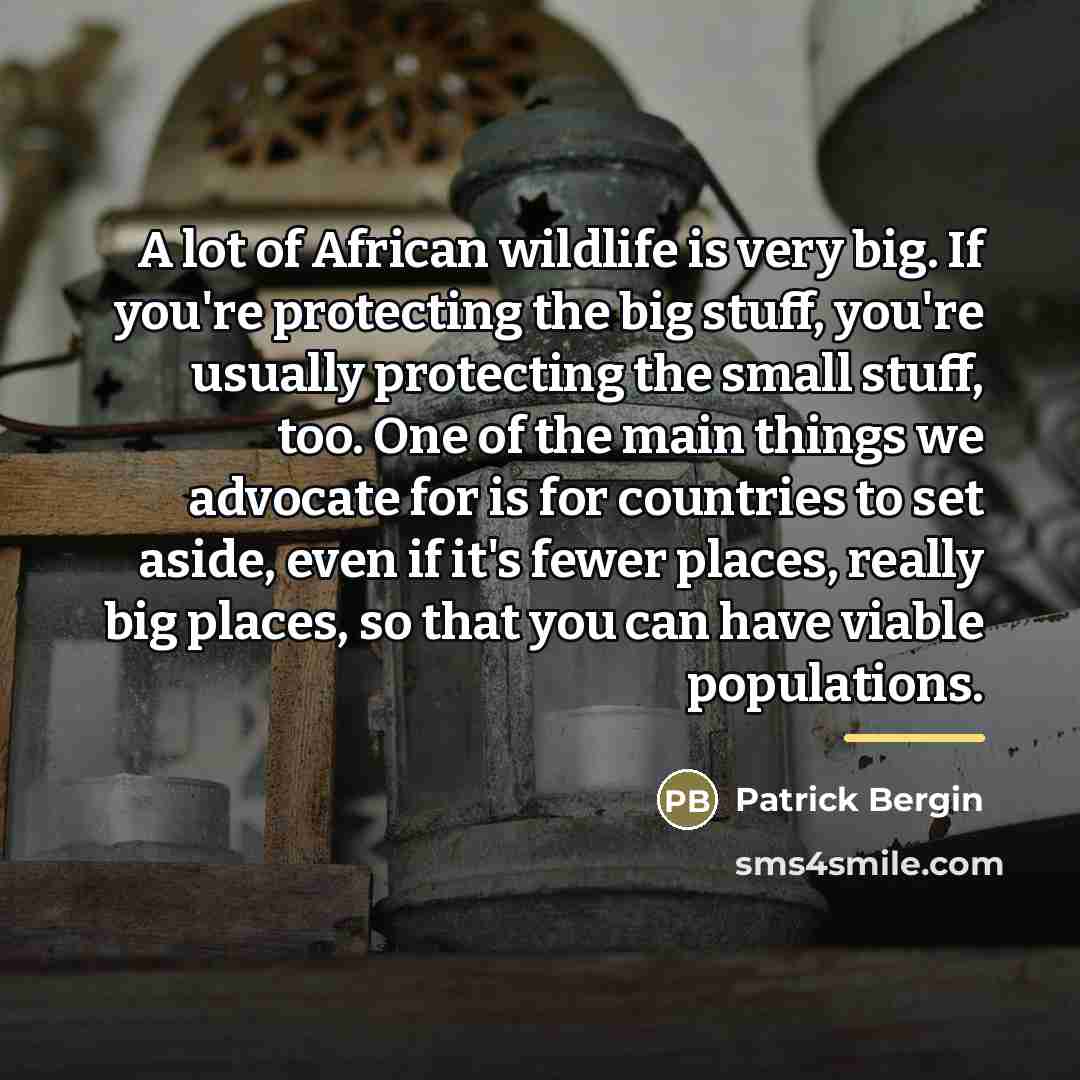 “A lot of African wildlife is very big. If you're…” quote by Patrick Bergin