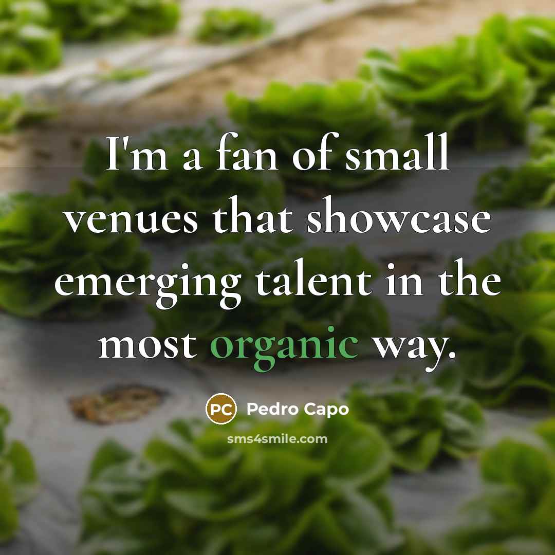“I'm a fan of small venues that showcase emerging talent…” quote by Pedro Capo