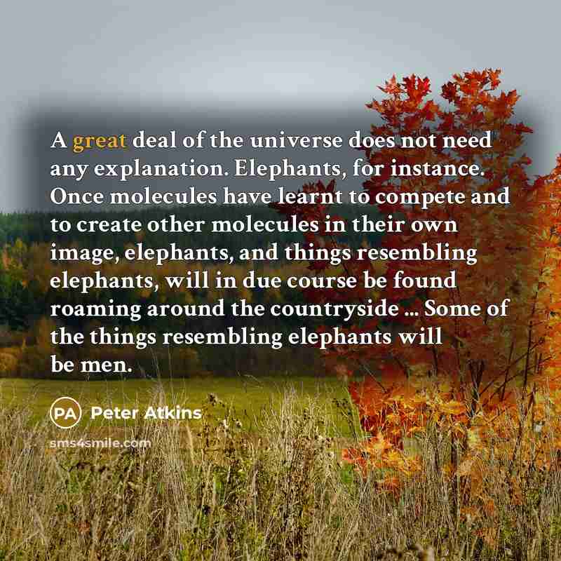 “A great deal of the universe does not need any…” quote by Peter Atkins