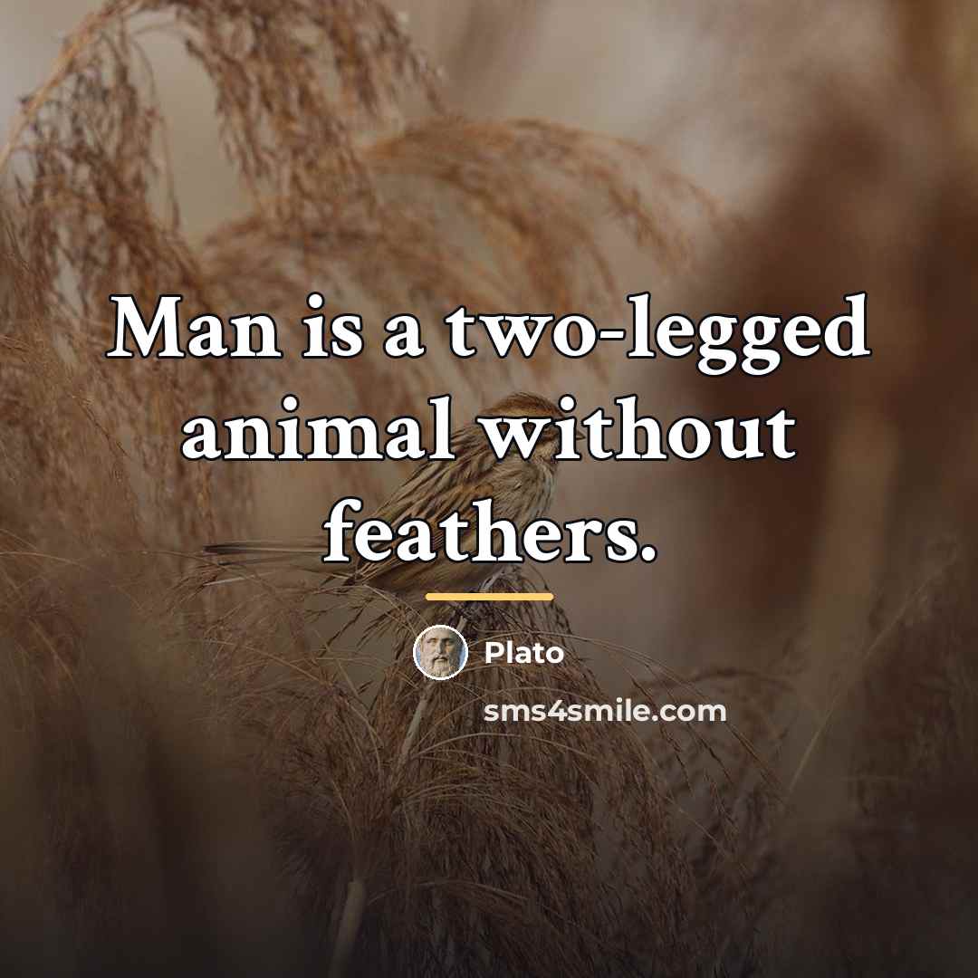 “Man is a two-legged animal without feathers.…” quote by Plato