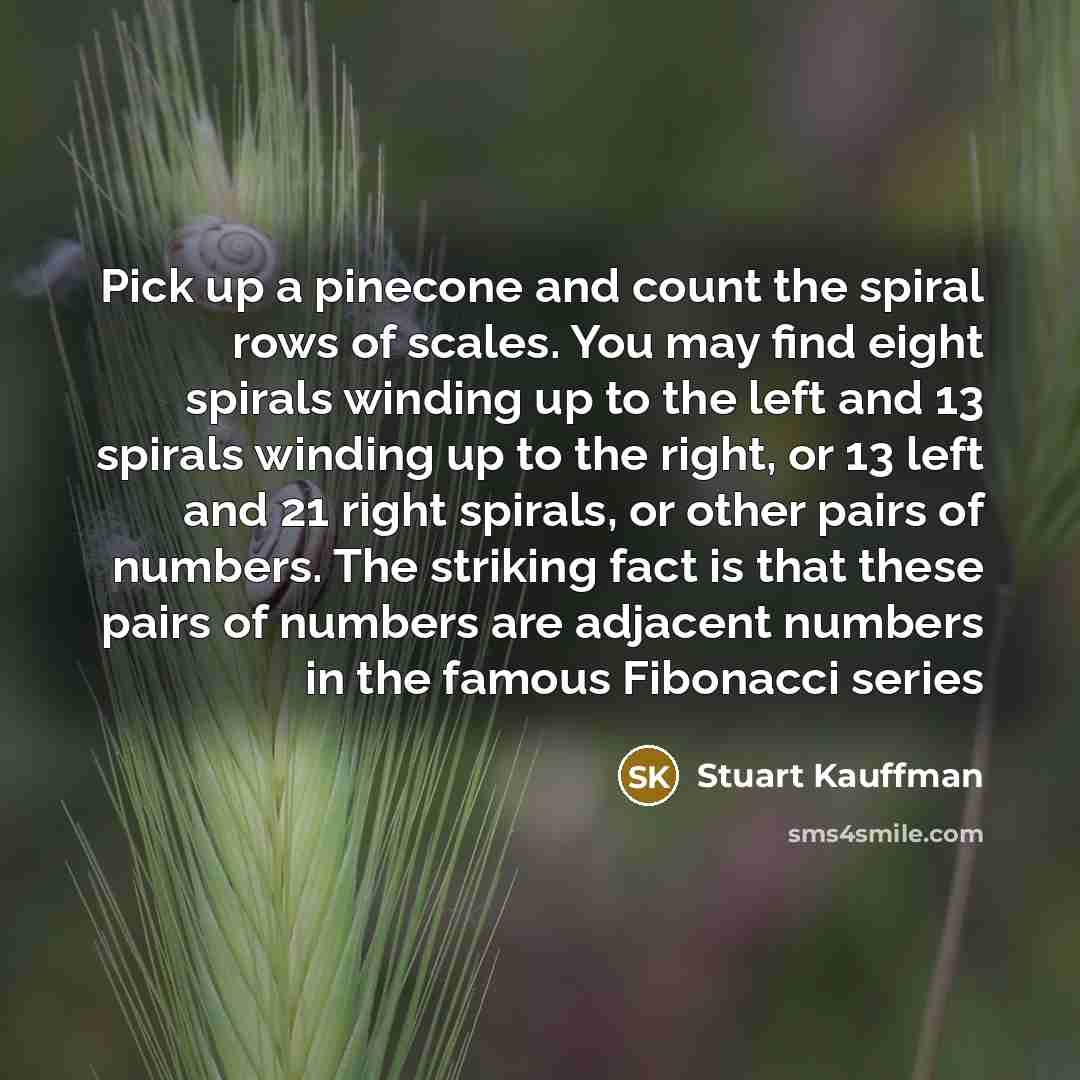“Pick up a pinecone and count the spiral rows of…” quote by Stuart Kauffman
