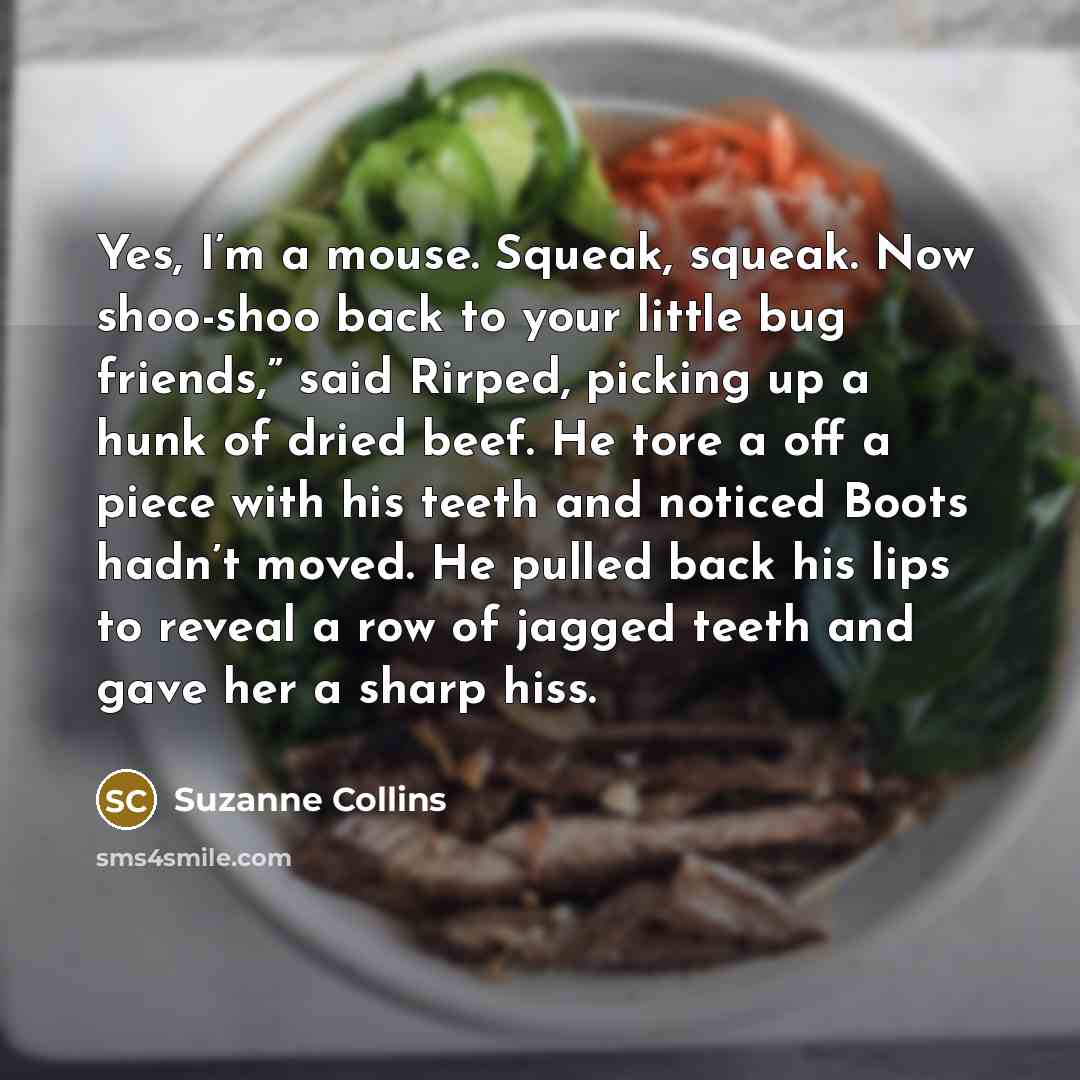 “Yes, I’m a mouse. Squeak, squeak. Now shoo-shoo back to…” quote by Suzanne Collins