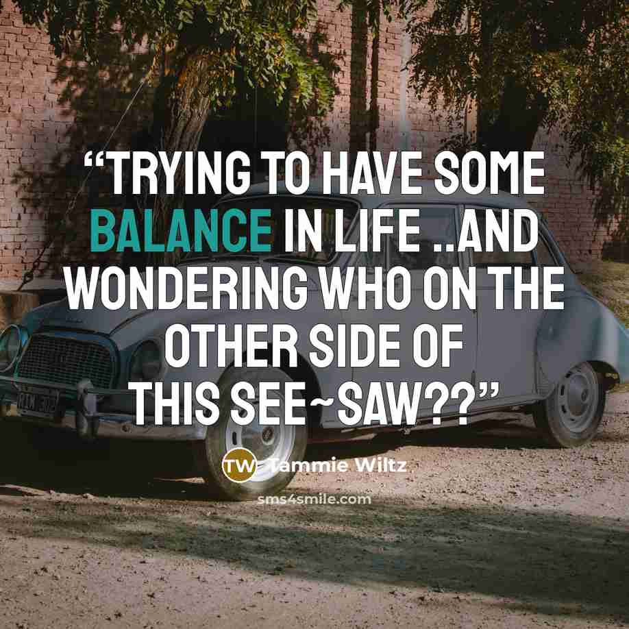 “trying to have some balance in life ..and wondering who on the other side of this see~saw??” quote by Tammie Wiltz