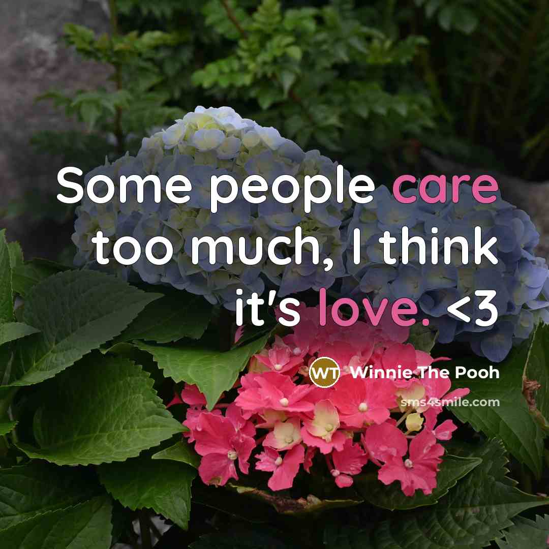 “Some people care too much, I think it's love.” quote by Winnie The Pooh