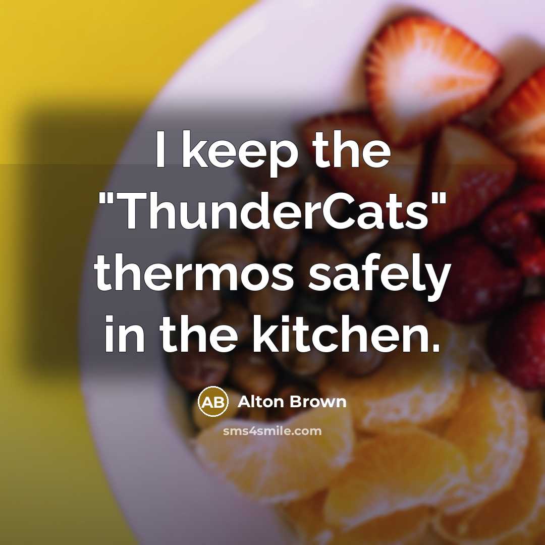 “I keep the "ThunderCats" thermos safely in the kitchen.” quote by Alton Brown