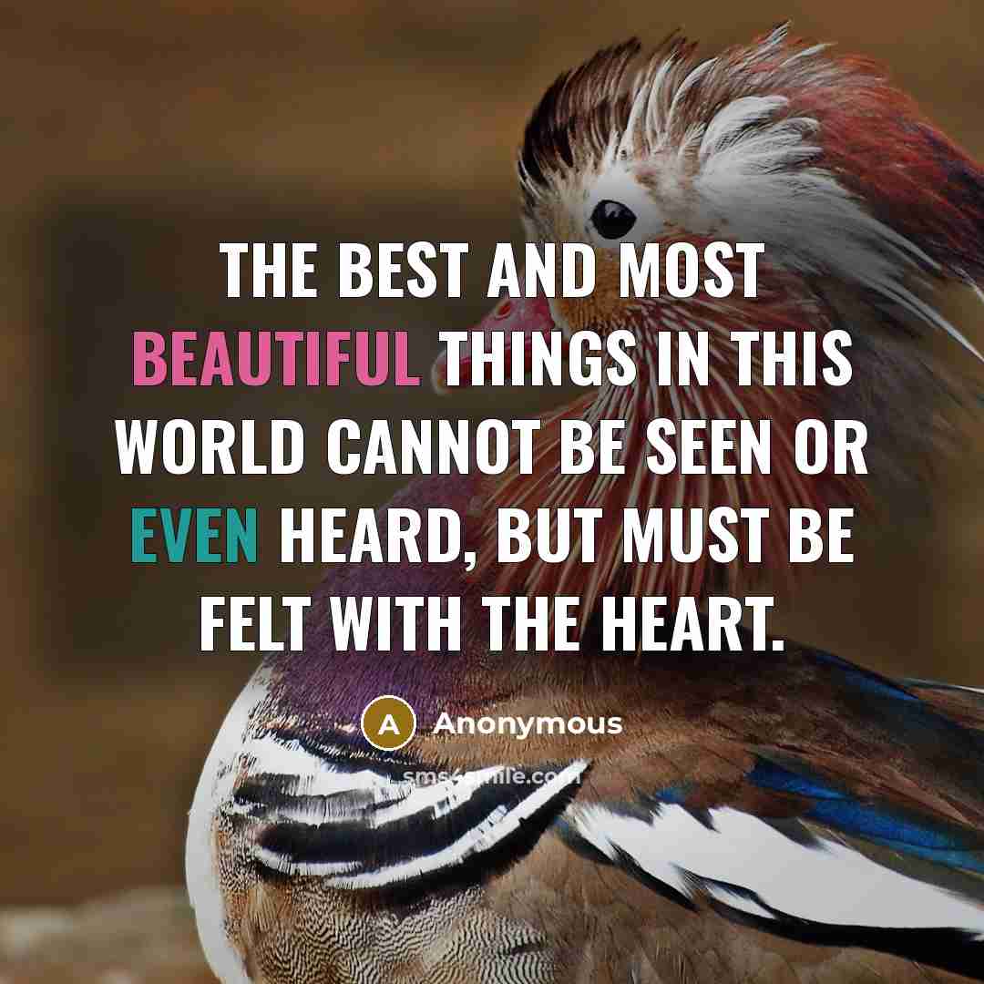 “The best and most beautiful things in this world cannot be seen or even heard, but must be felt with the heart.” quote by Anonymous