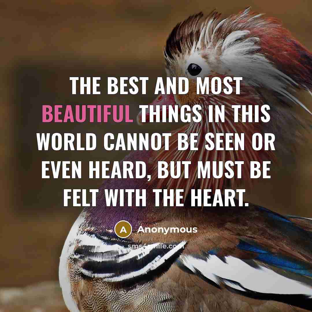 “The best and most beautiful things in this world cannot…” quote by Anonymous