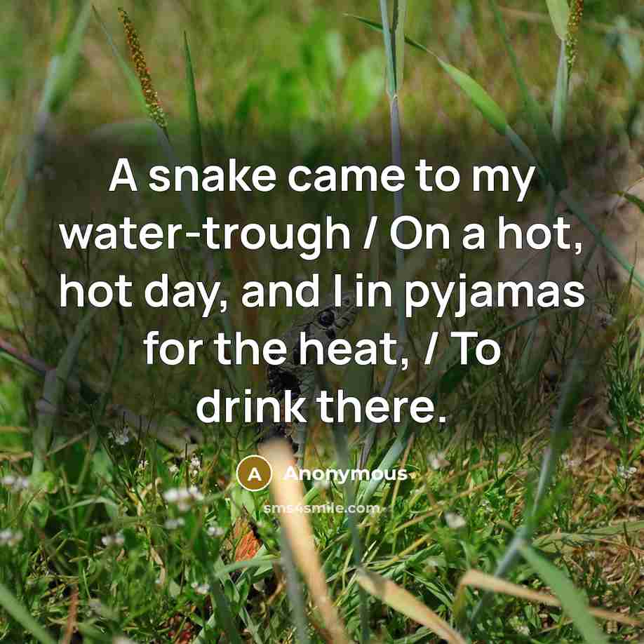 “A snake came to my water-trough / On a hot,…” quote by Anonymous
