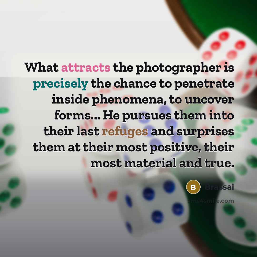 “What attracts the photographer is precisely the chance to penetrate inside phenomena, to uncover forms... He pursues them into their last refuges and surprises them at their most positive, their most material and true.” quote by Brassai