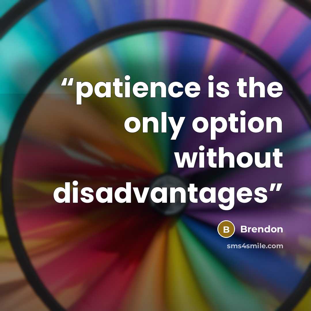 “patience is the only option without disadvantages” quote by Brendon