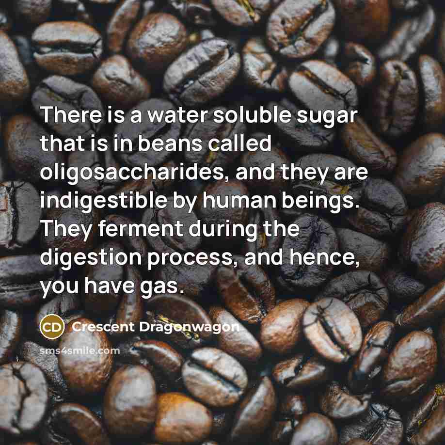 “There is a water soluble sugar that is in beans…” quote by Crescent Dragonwagon