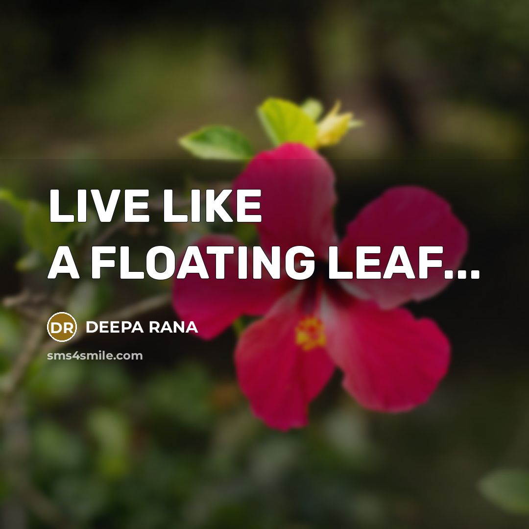 “LIVE LIKE A FLOATING LEAF...…” quote by DEEPA RANA