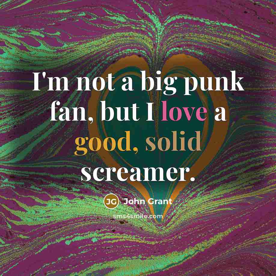 “I'm not a big punk fan, but I love a…” quote by John Grant