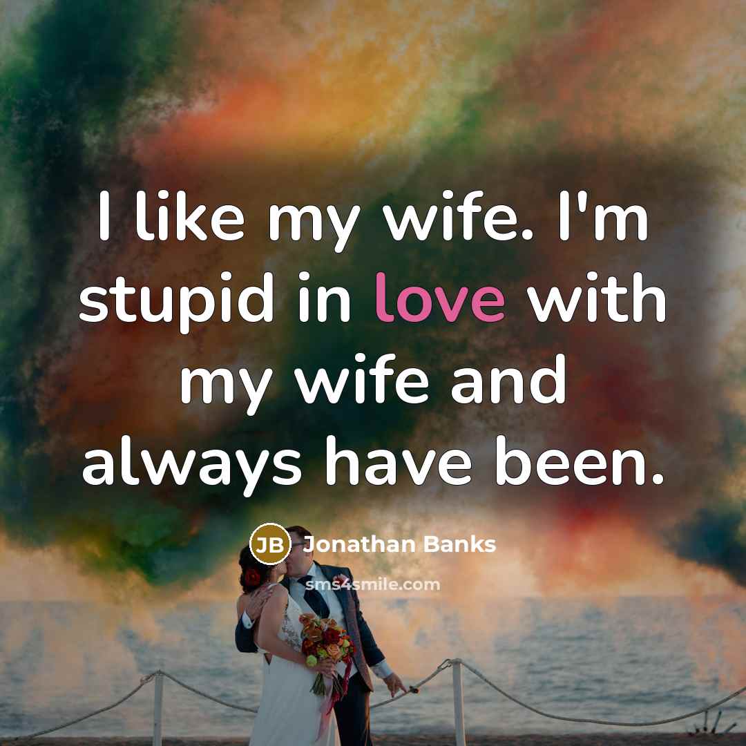 “I like my wife. I'm stupid in love with my…” quote by Jonathan Banks