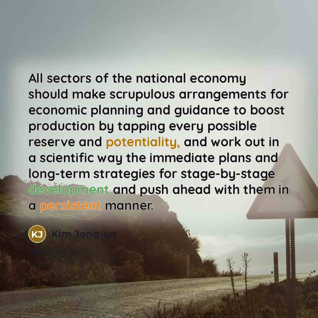 “All sectors of the national economy should make scrupulous arrangements…” quote by Kim Jong-un