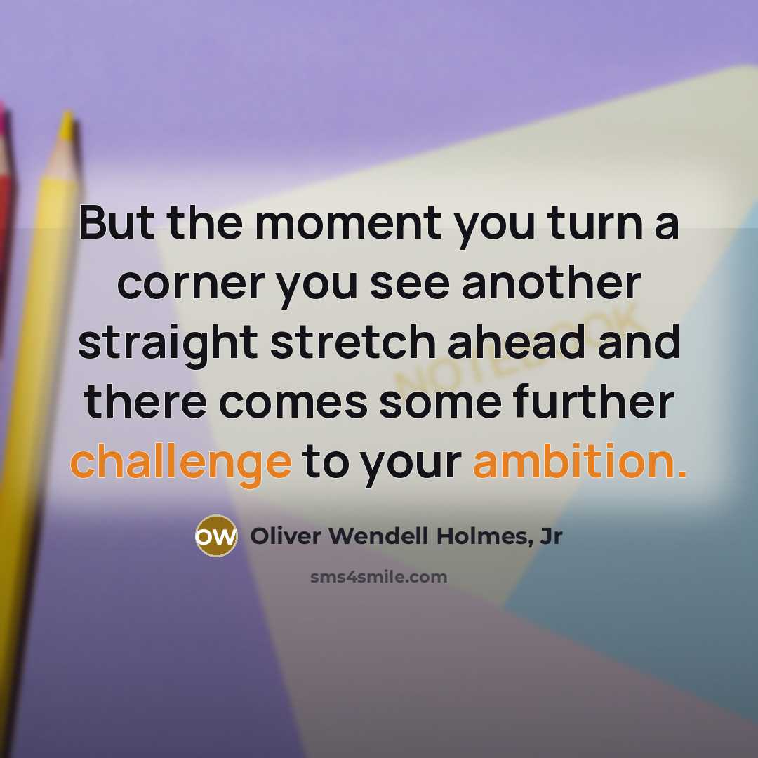 “But the moment you turn a corner you see another…” quote by Oliver Wendell Holmes, Jr
