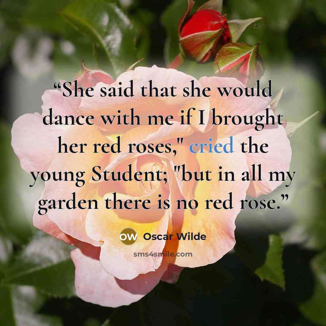 “She said that she would dance with me if I brought her red roses," cried the young Student; "but in all my garden there is no red rose.” quote by Oscar Wilde