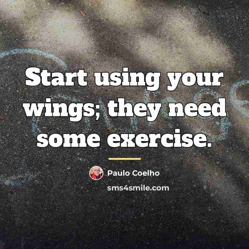 “Start using your wings; they need some exercise.…” quote by Paulo Coelho