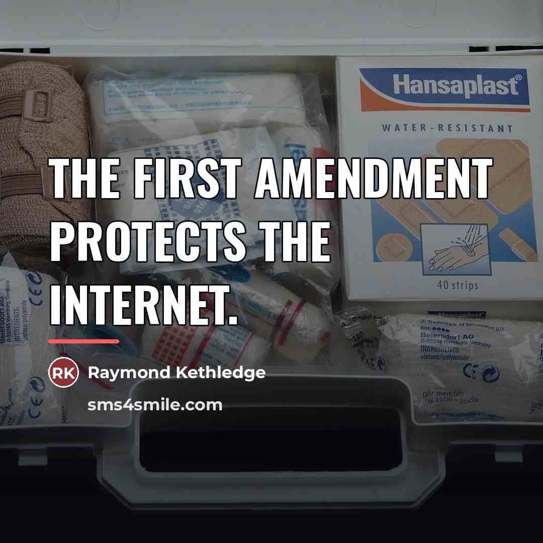 “The First Amendment protects the Internet.…” quote by Raymond Kethledge