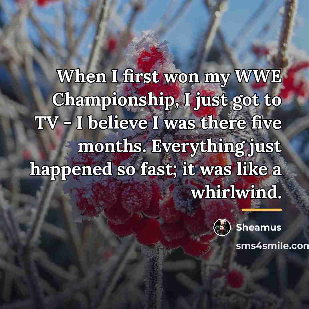 “When I first won my WWE Championship, I just got…” quote by Sheamus