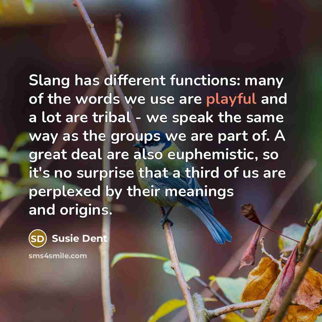 “Slang has different functions: many of the words we use…” quote by Susie Dent