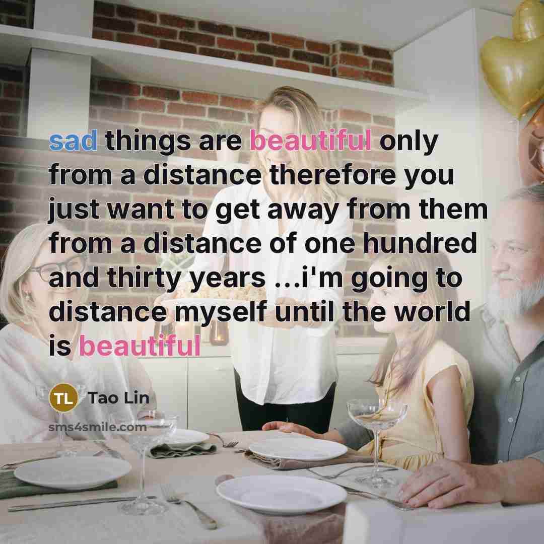 “sad things are beautiful only from a distance therefore you…” quote by Tao Lin