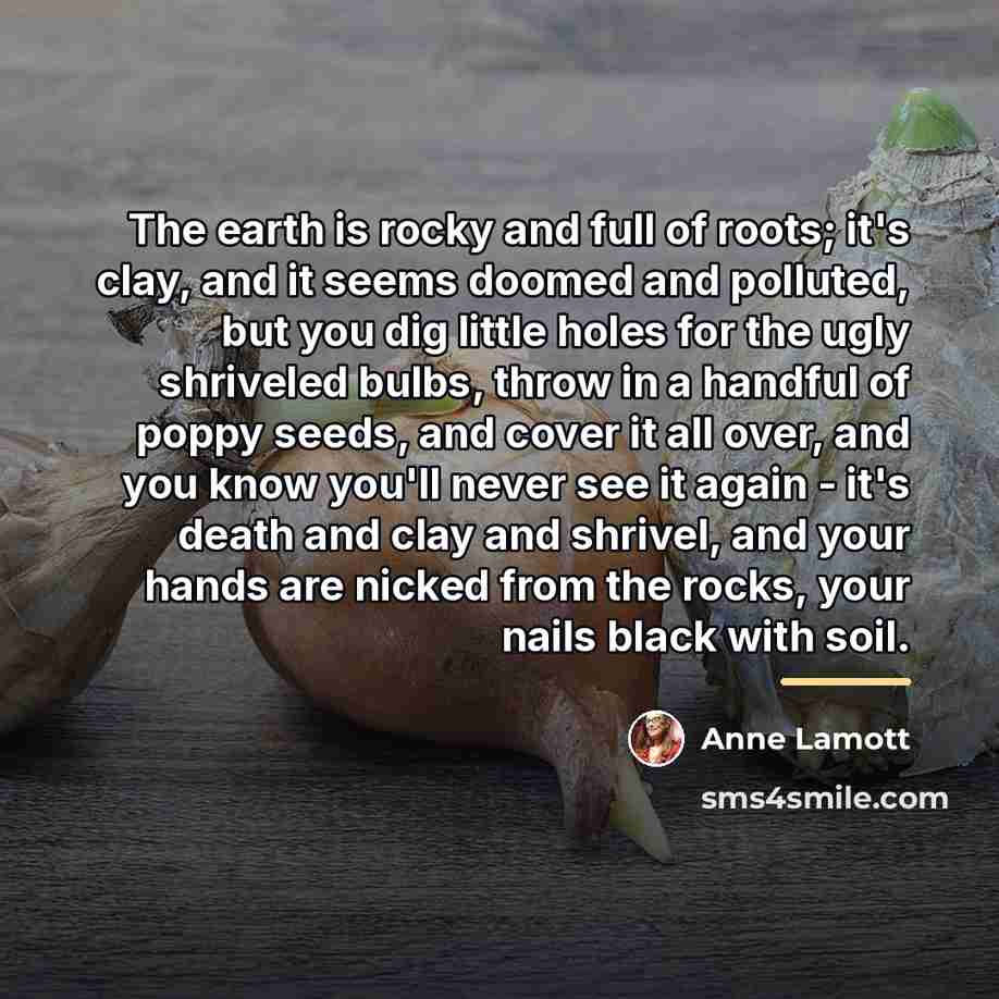 “The earth is rocky and full of roots; it's clay,…” quote by Anne Lamott