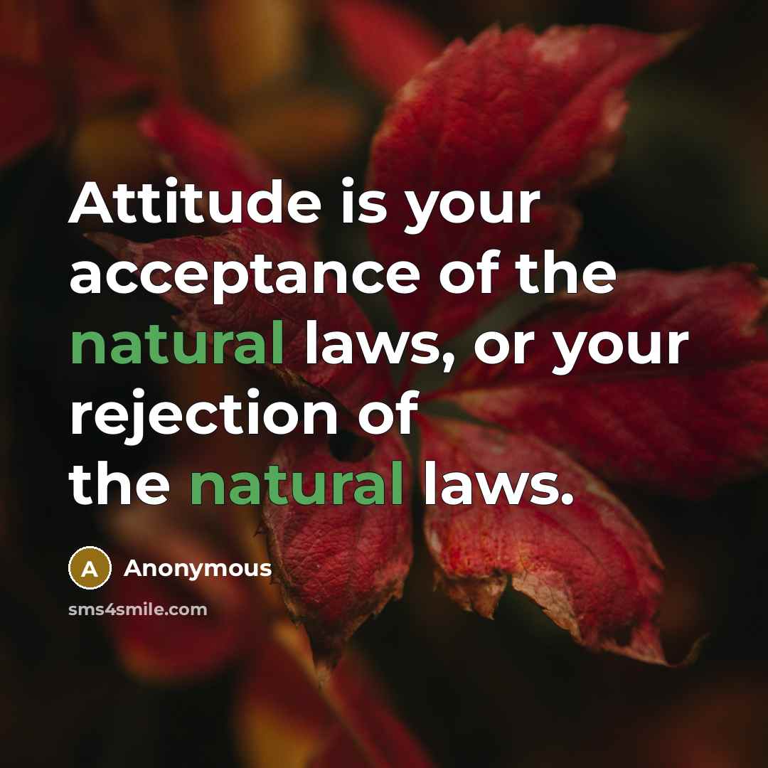 “Attitude is your acceptance of the natural laws, or your…” quote by Anonymous