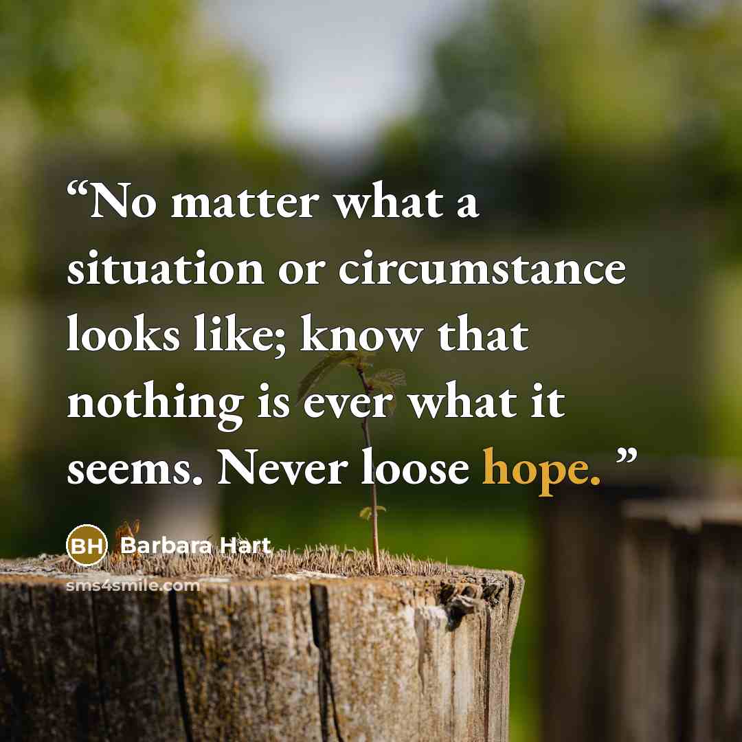 “No matter what a situation or circumstance looks like; know that nothing is ever what it seems. Never loose hope.” quote by Barbara Hart