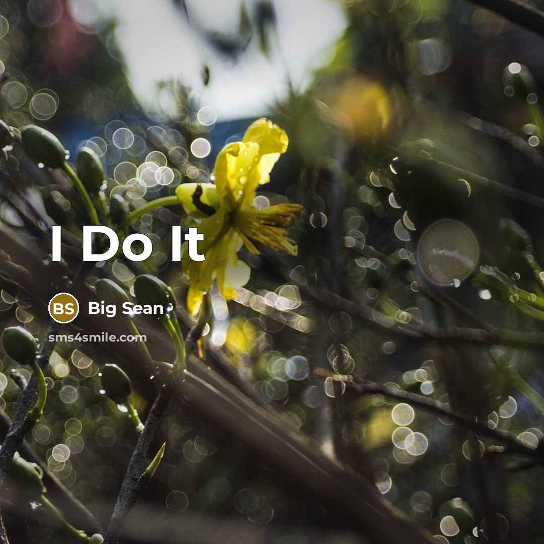 “I Do It…” quote by Big Sean
