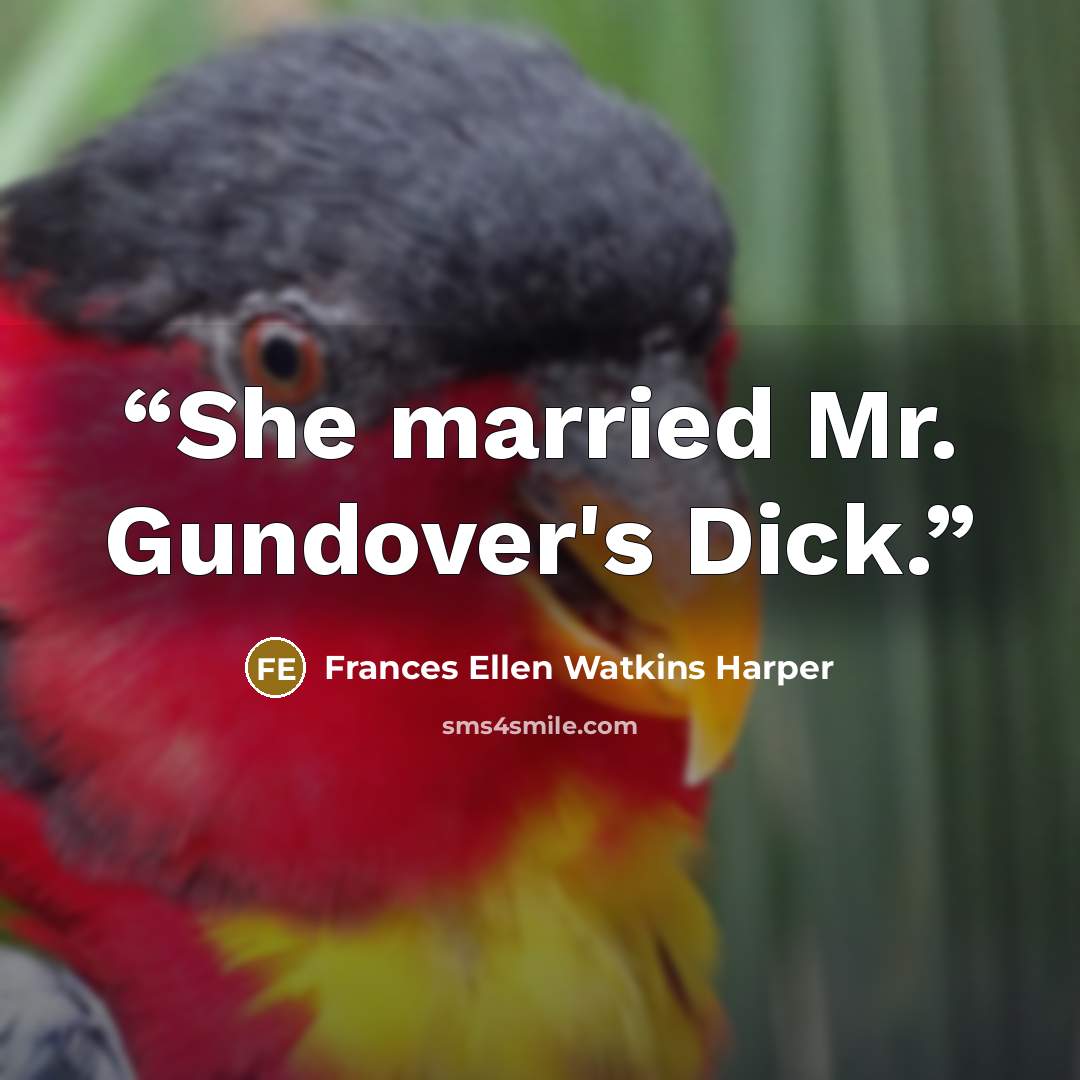 “She married Mr. Gundover's Dick.” quote by Frances Ellen Watkins Harper
