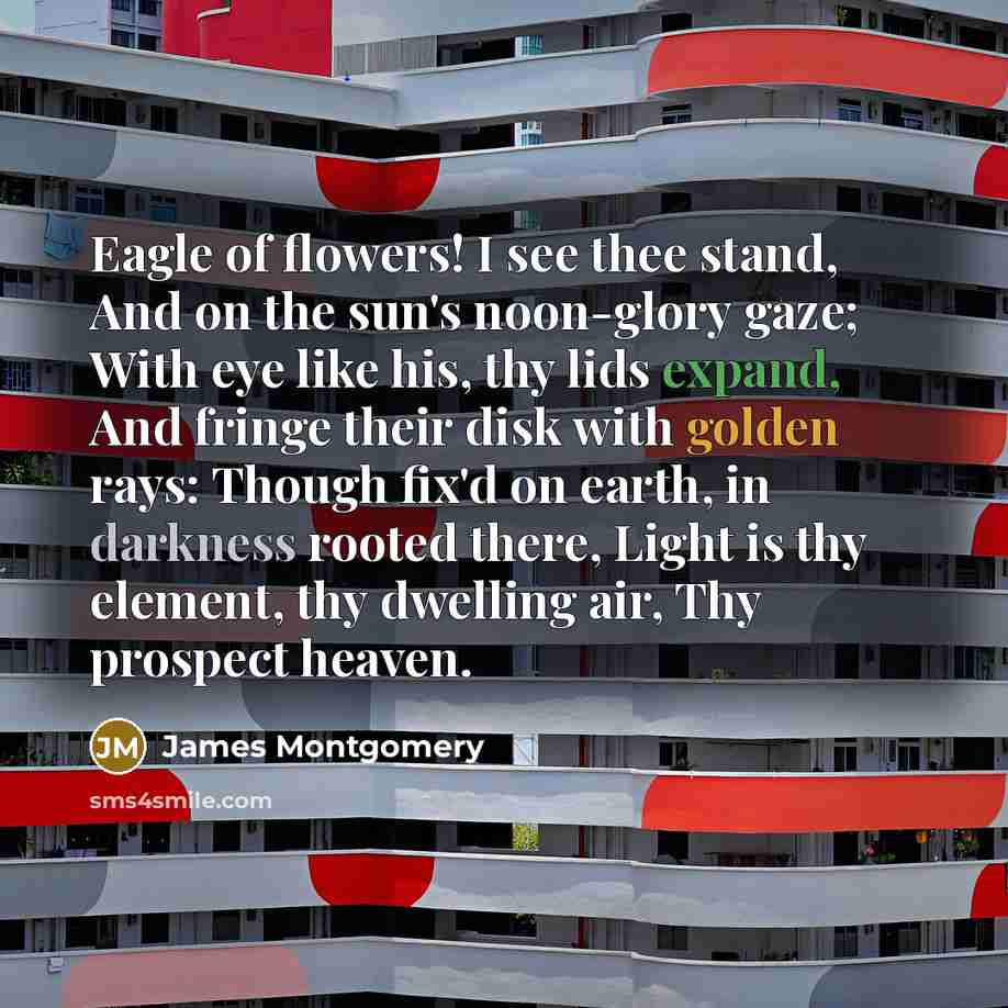 “Eagle of flowers! I see thee stand, And on the…” quote by James Montgomery
