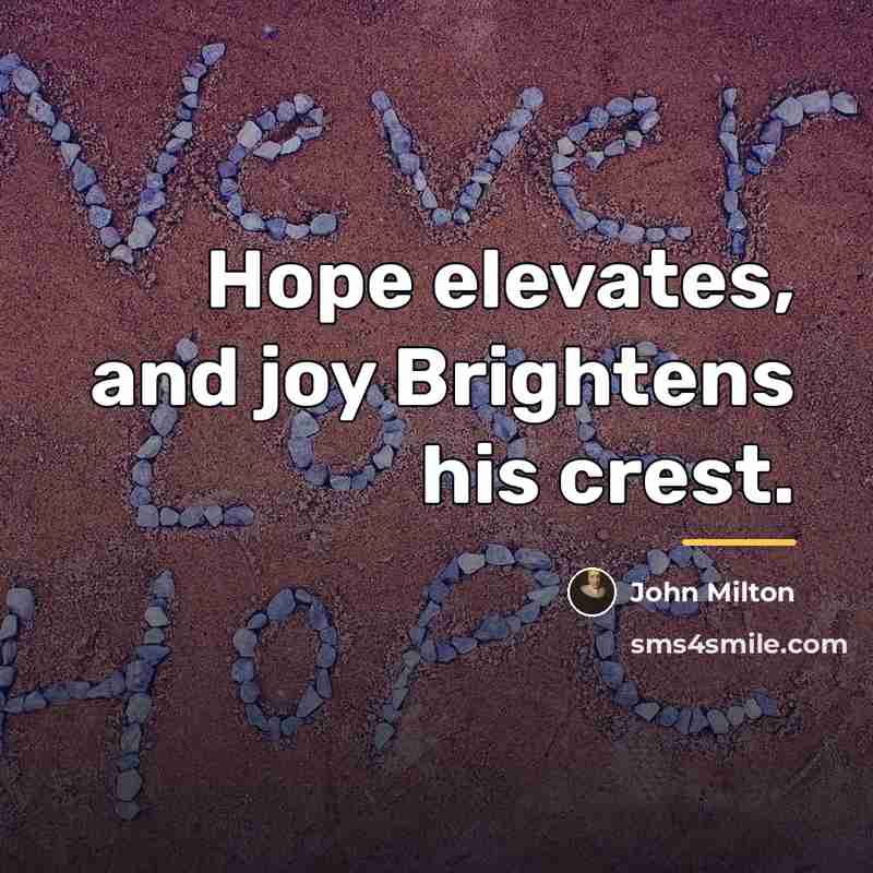 “Hope elevates, and joy Brightens his crest.…” quote by John Milton