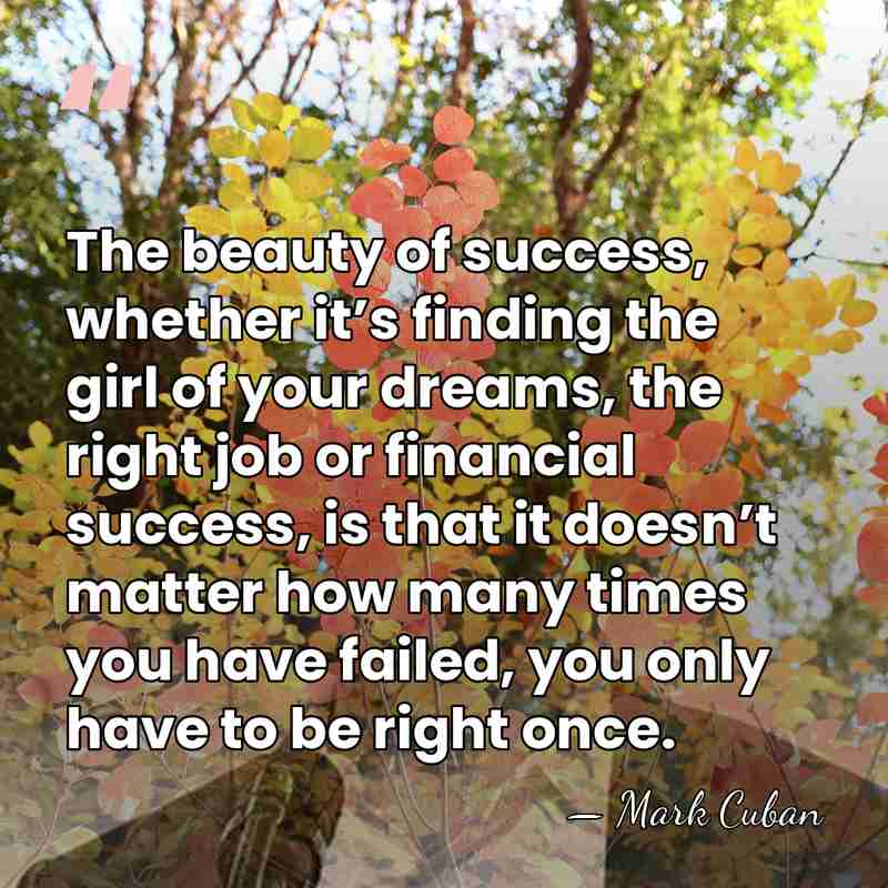 The beauty of success, whether it’s finding the girl of your dreams,&hellip; - Mark Cuban