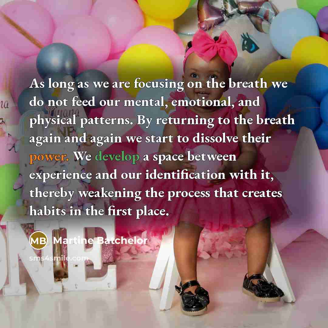 “As long as we are focusing on the breath we…” quote by Martine Batchelor