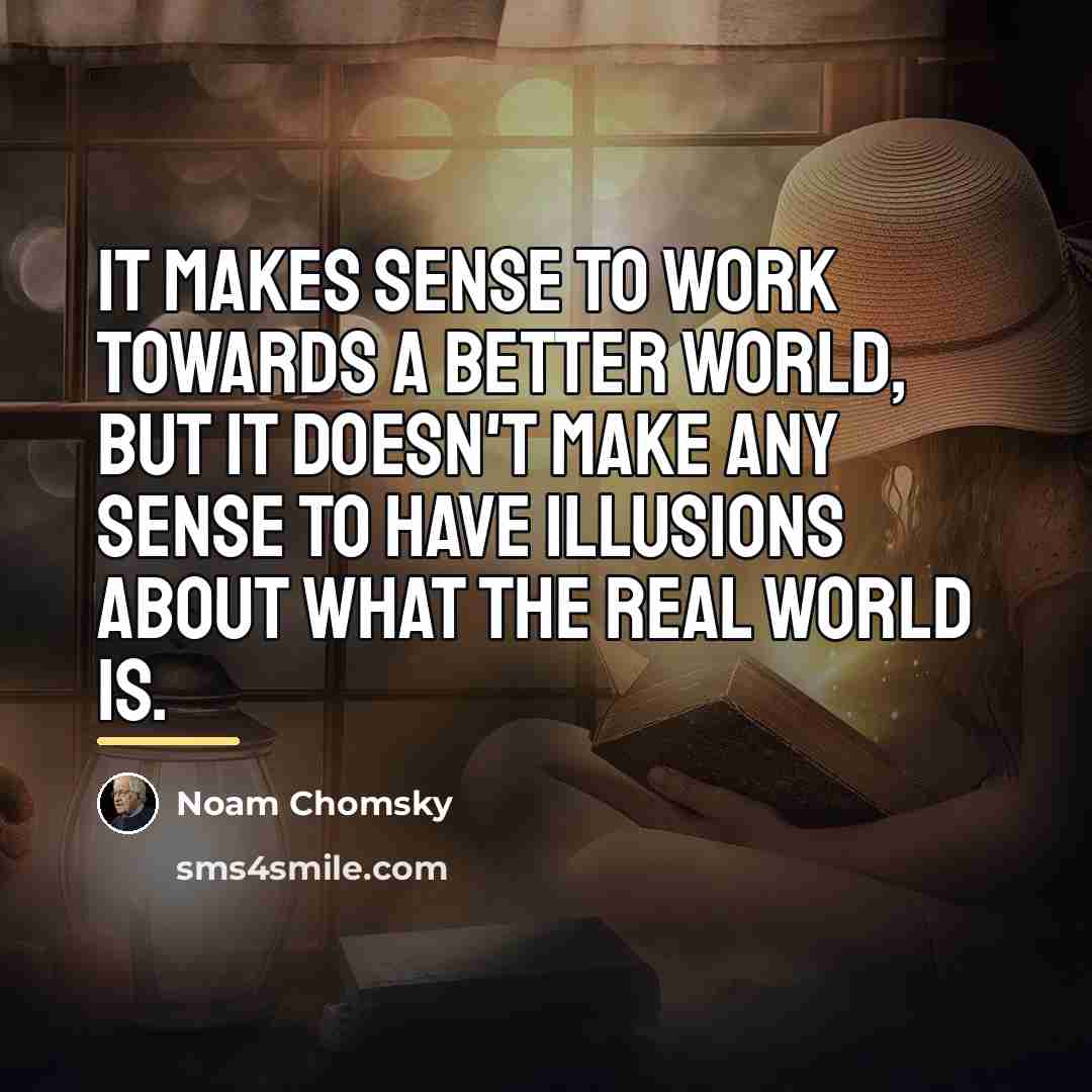 “It makes sense to work towards a better world, but…” quote by Noam Chomsky